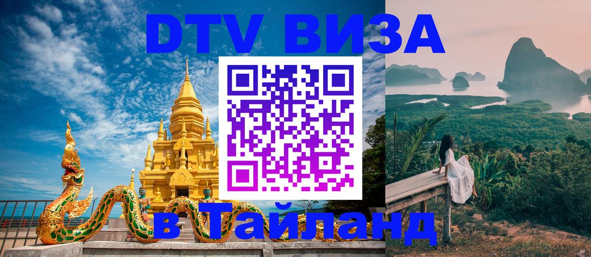 Оформление DTV визы под ключ: стоимость и тарифы, только загранпаспорт - Тольятти  21.11.2025 